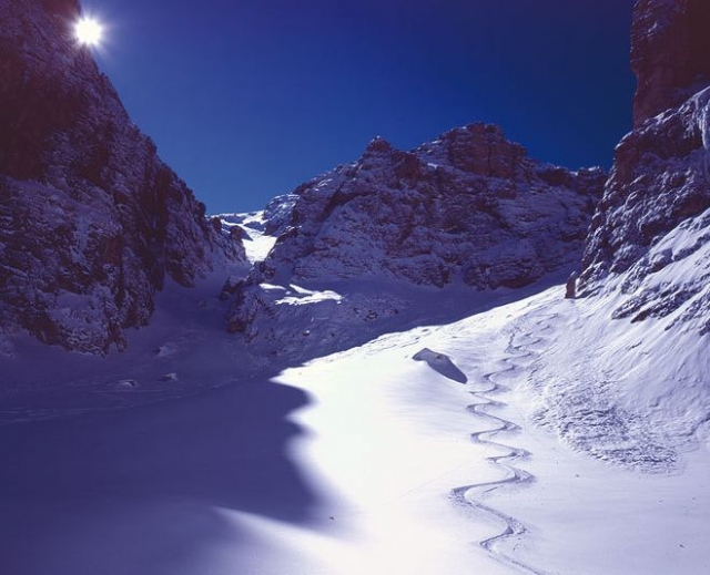  Skiing on virgin snow 